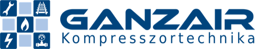 Ganzair Logo